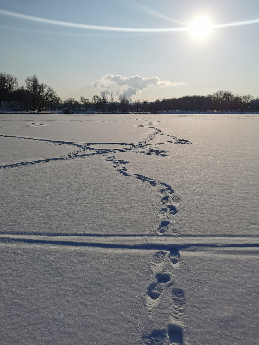 Нижний Царицынский пруд.