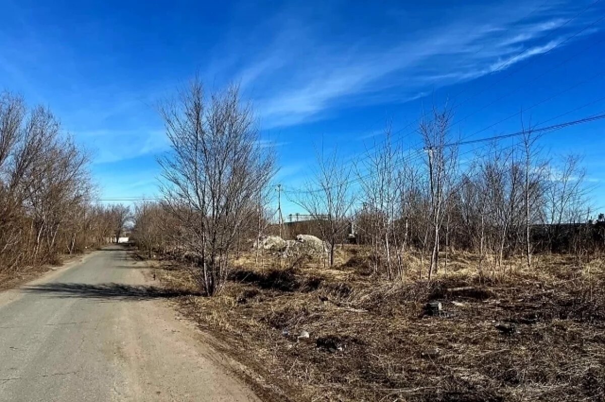    Тольяттинца суд заставил освободить самовольно занятый под склад участок