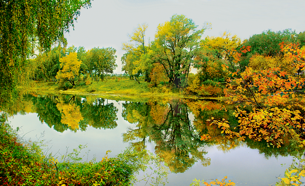 Фотография, стихотворение Василия Глуцкого