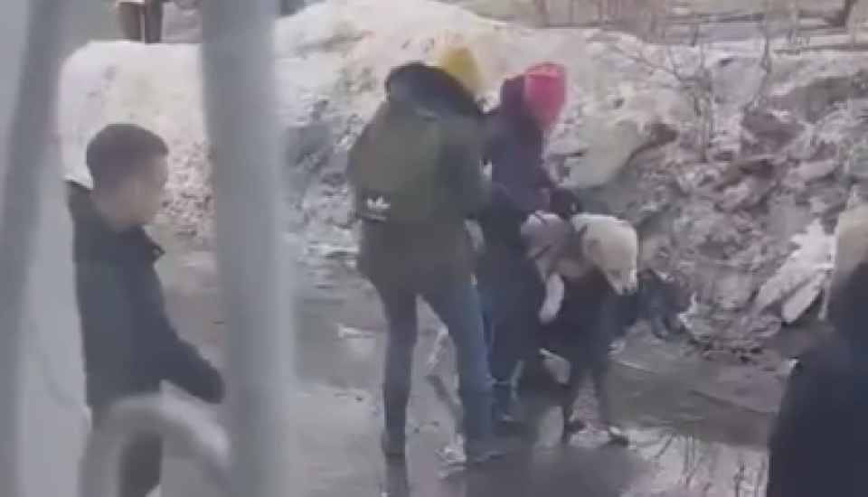    Нападение овчарки на собаку в Барнауле. Источник: Кадр из видео