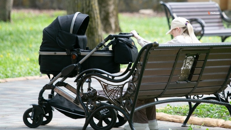      Фото: ИА «Победа26»