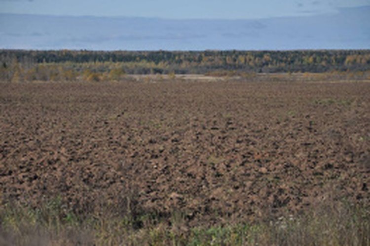    Все карты сельхозугодий Вологодской области перевели в электронный вид