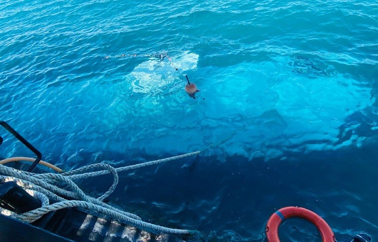    Ali Awad/XinHua/Global Look Press