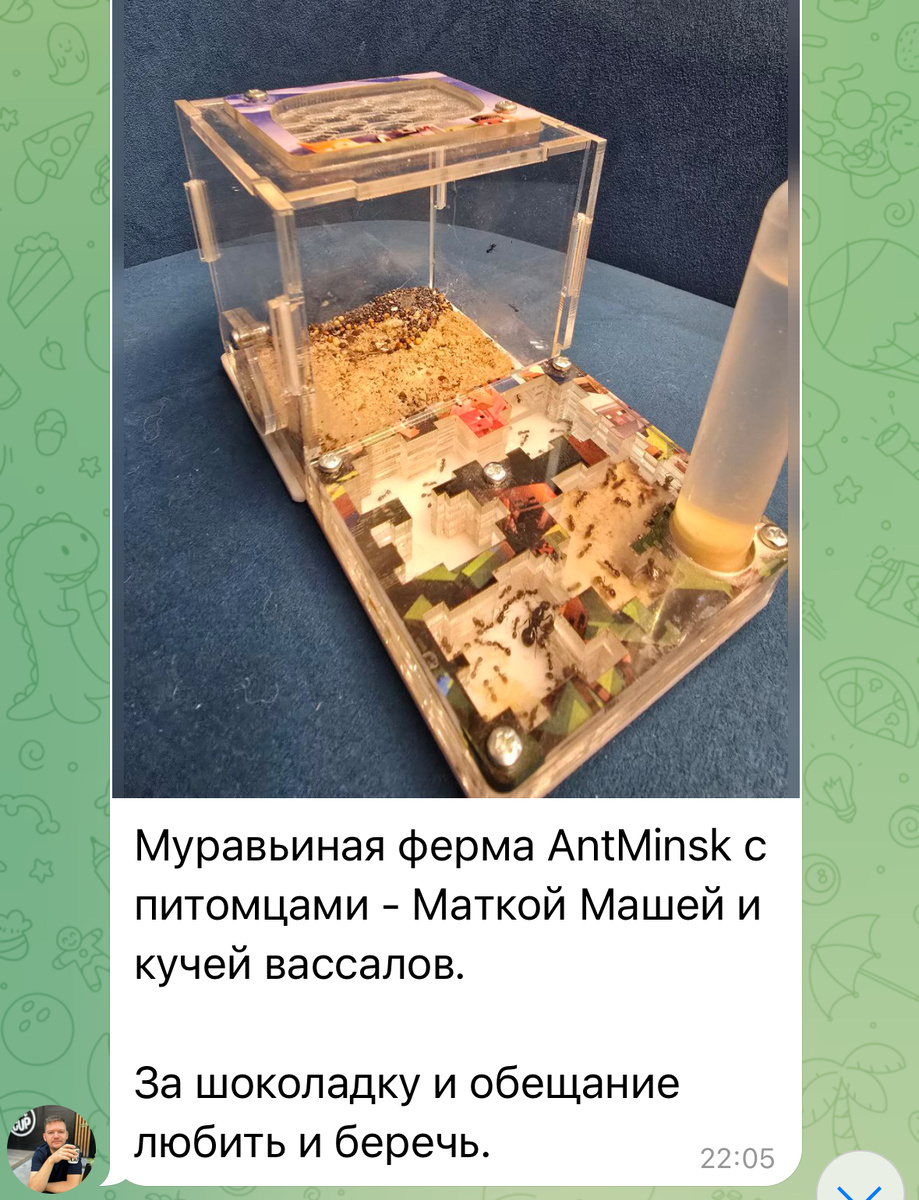 Отдали муравьиную ферму за шоколадку в чате ЖК, ее забрала бабушка для внуков