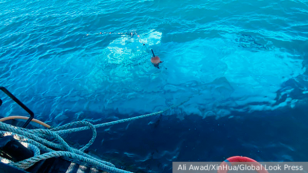     Фото: Ali Awad/XinHua/Global Look Press   
 Текст: Елизавета Шишкова