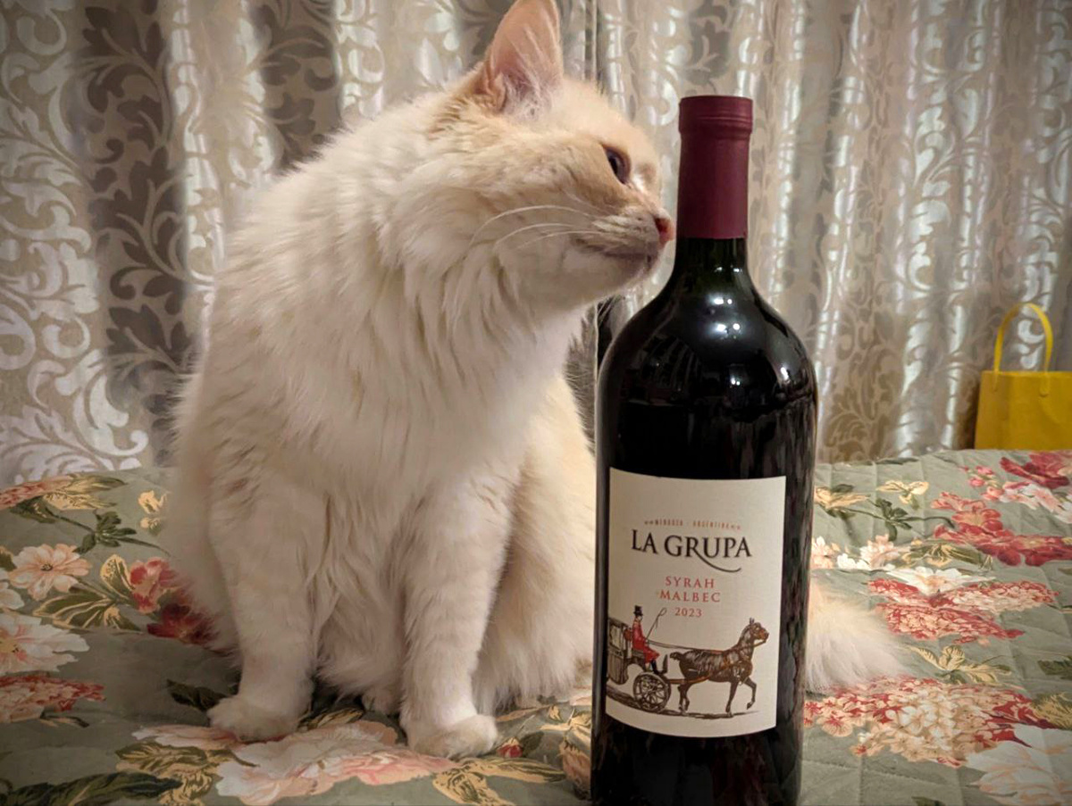 Величиной с кота