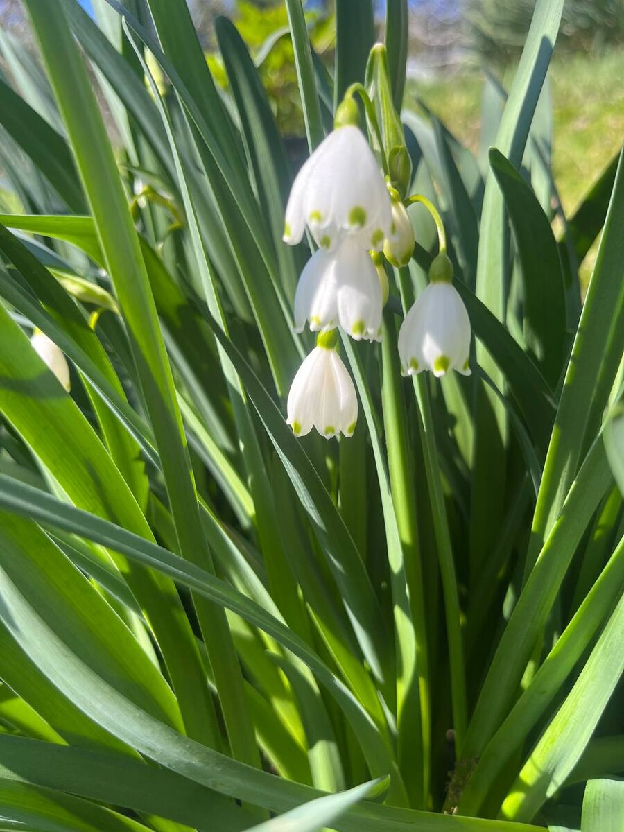 Фото: Telegram/Сочинский географ  📷
