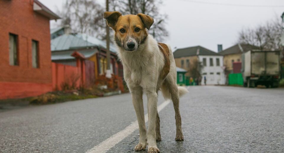    Медиасток.рф