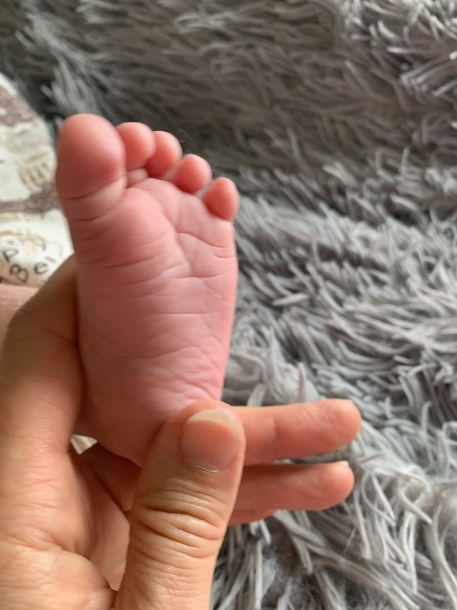 Фото - автора.