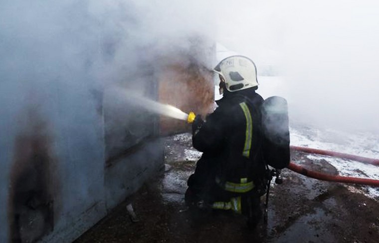    Алексей Белкин/NEWS.ru