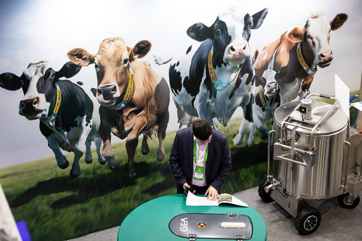 Партнеры продемонстрировали наш обновленный передвижной пастеризатор на 250л