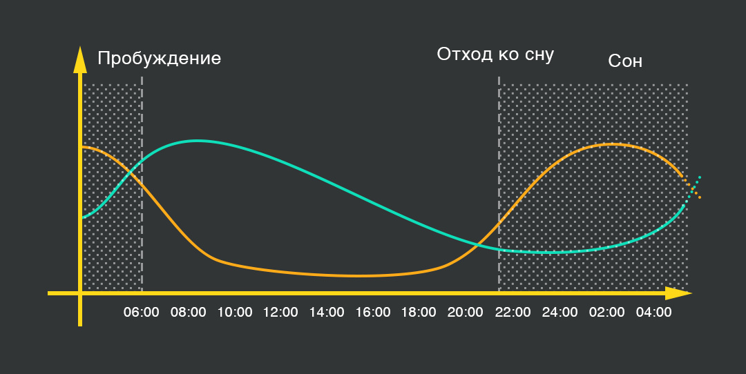 Пример графика изменения мелатонина и кортизола в организме