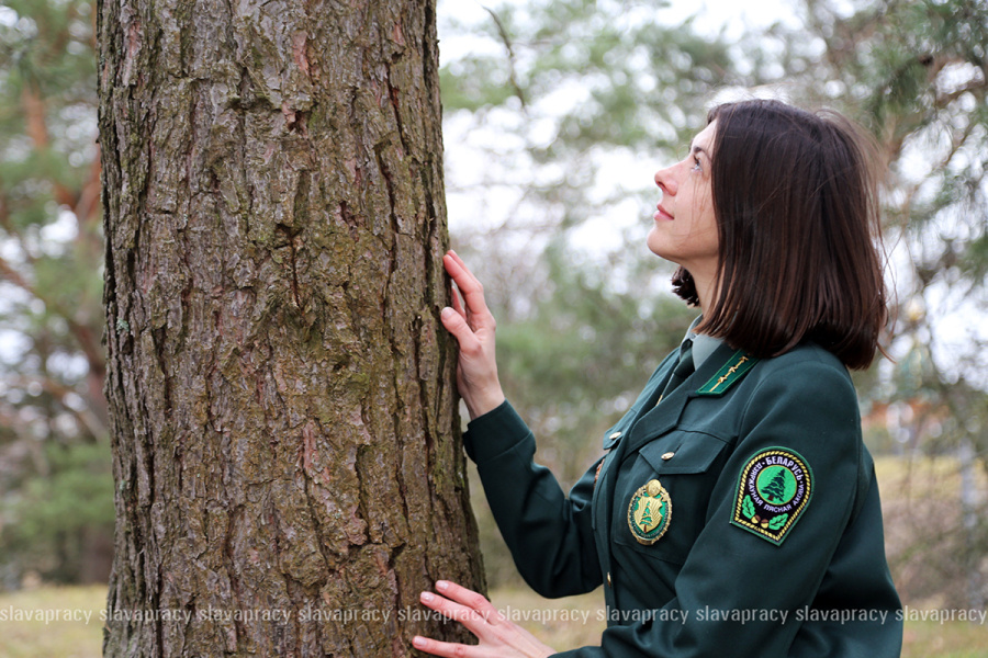     Каково это – быть лесным врачом? Рассказываем об уникальной профессии копылянки