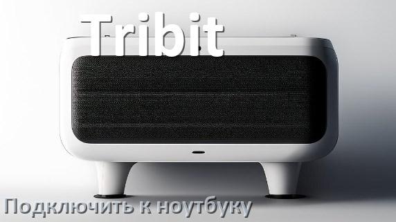
Как подключить колонку Tribit к ноутбуку через Bluetooth с Windows 11 и 10