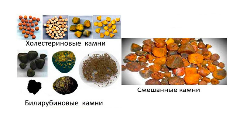 Источник: Яндекс фотобанк