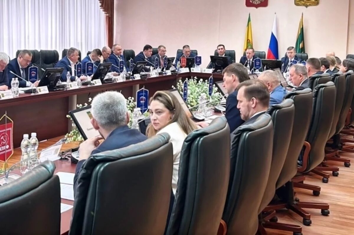    Депутата гордумы Пензы Елену Падалкину лишили права выступать на сессии