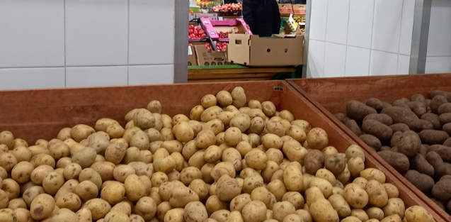    Фото из архива Progorod