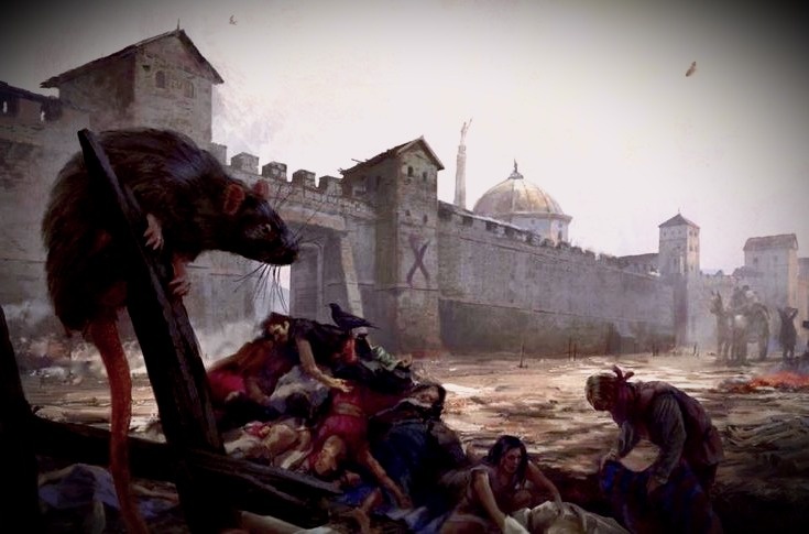 Чума. Изображение взято с Яндекс картинок.