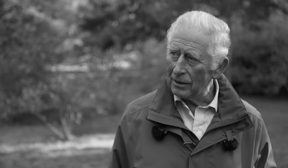 Король Карл III. Фото: скриншот YouTube /@BBCNews