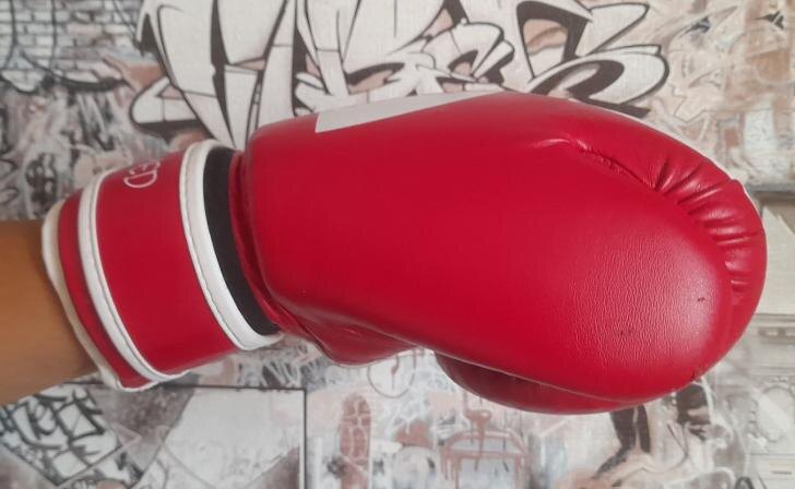    фото Курские известия