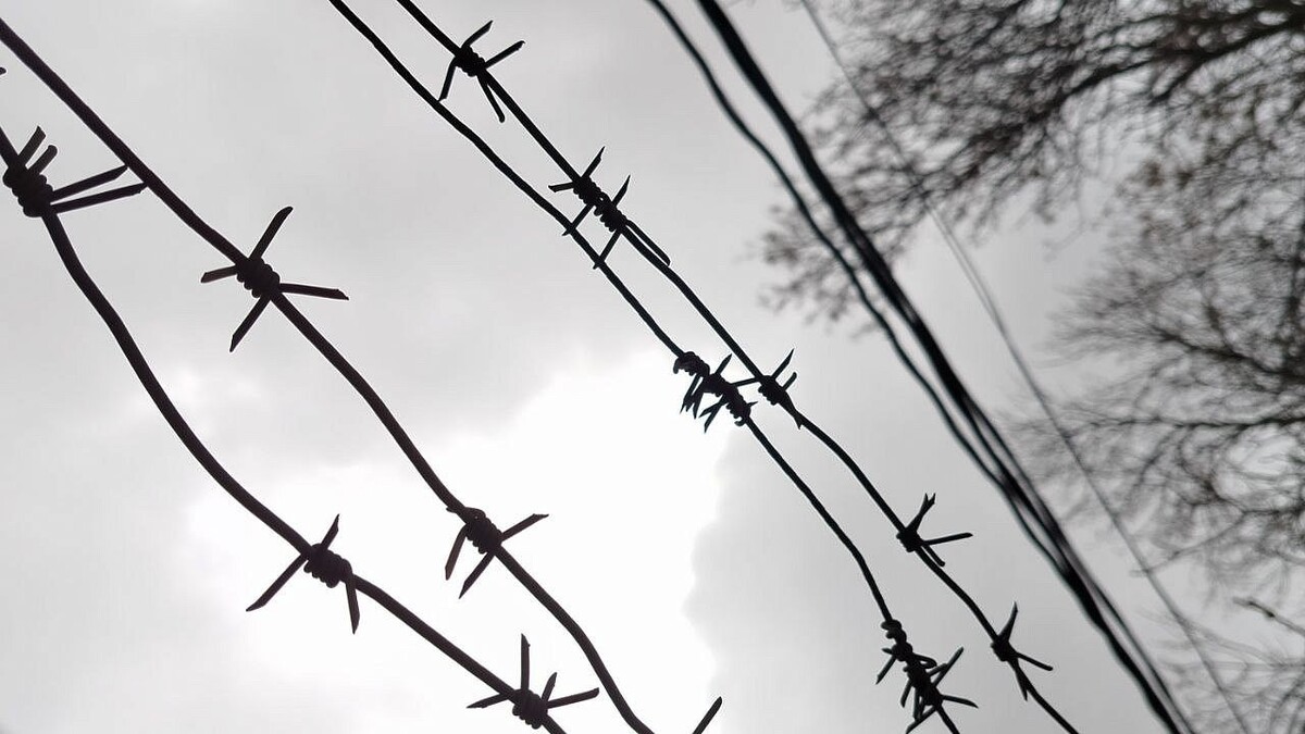    Фото: телеканал «Краснодар»