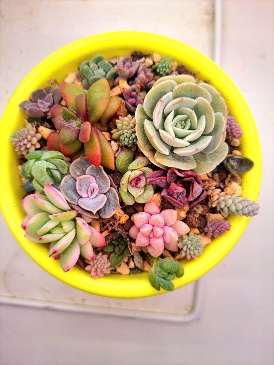 Это садик, который будет участвовать в розыгрыше 