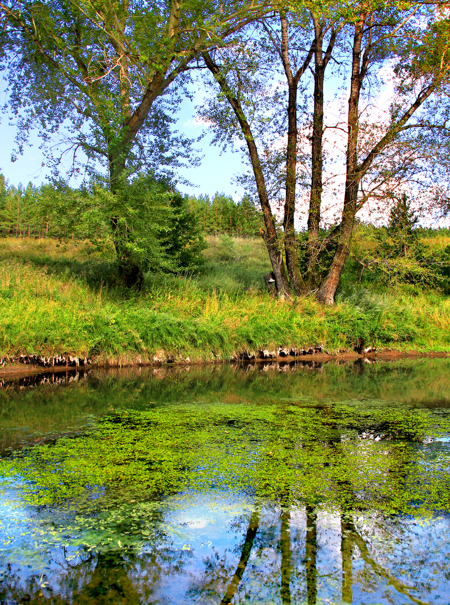 Фотография, стихотворение Василия Глуцкого