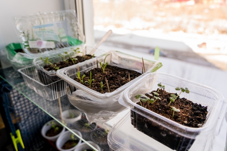    Фото Андрея Заржецкого