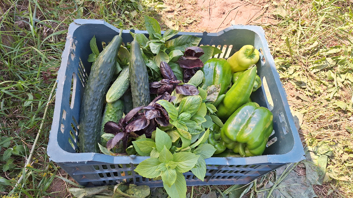 Фото автора. 