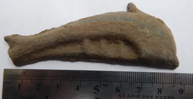 дельфинчик