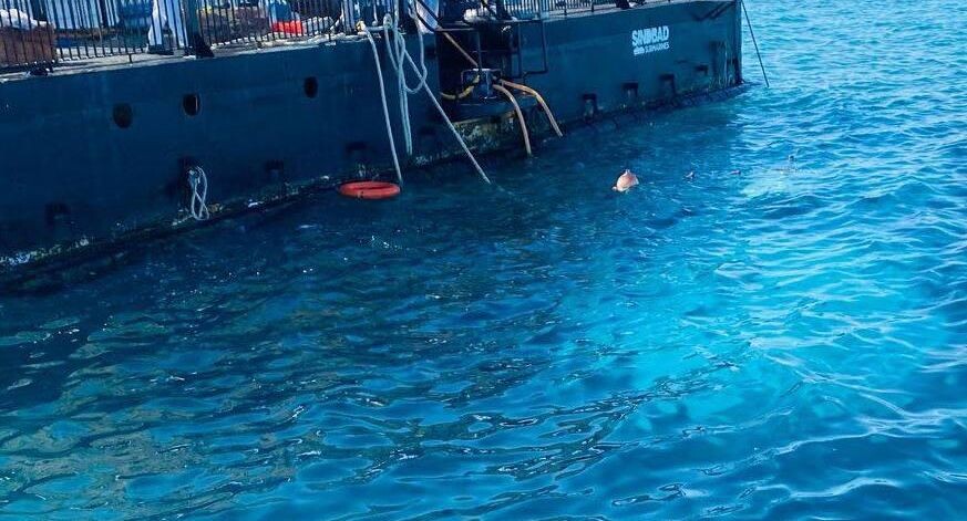    Ali Awad/XinHua / www.globallookpress.com