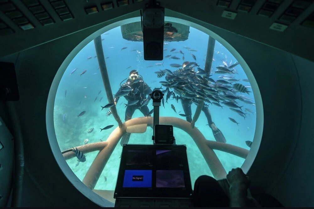 Фото из соцсетей. 