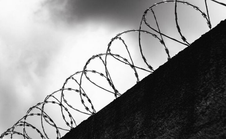 Фото:. freepik.com