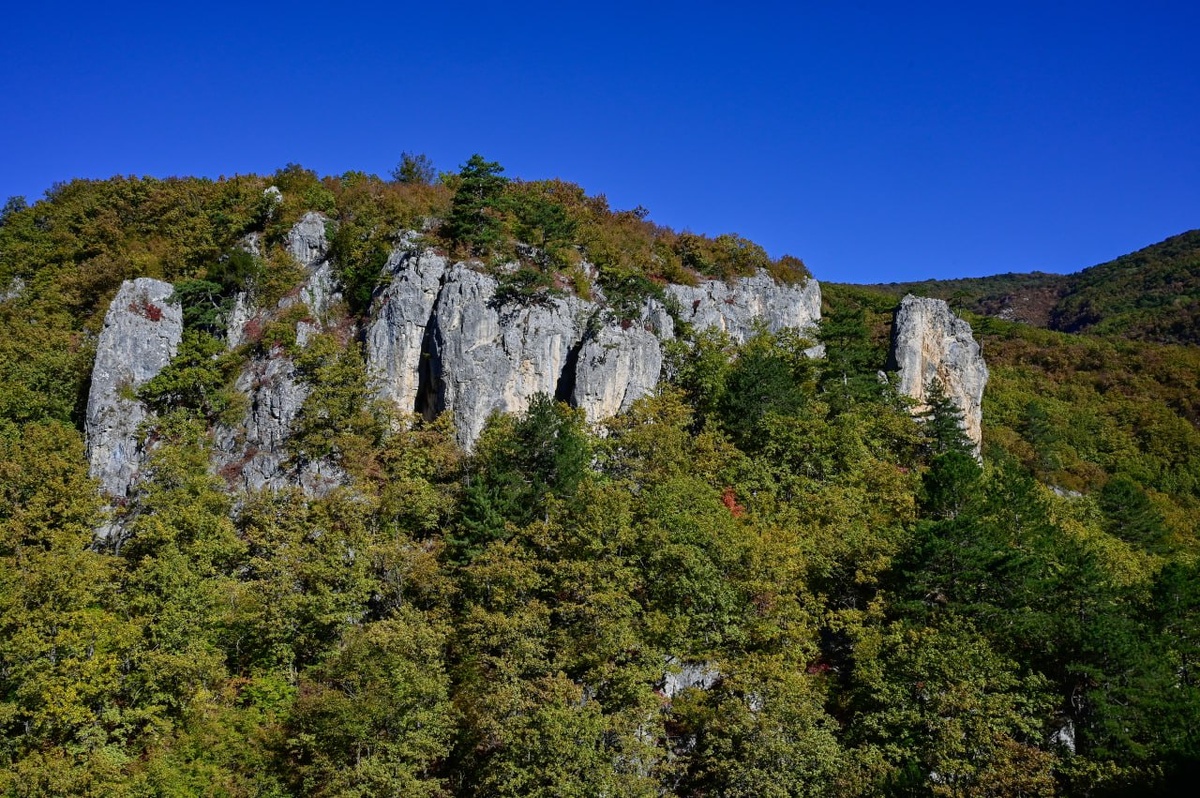 Фото: Гала Амарандо