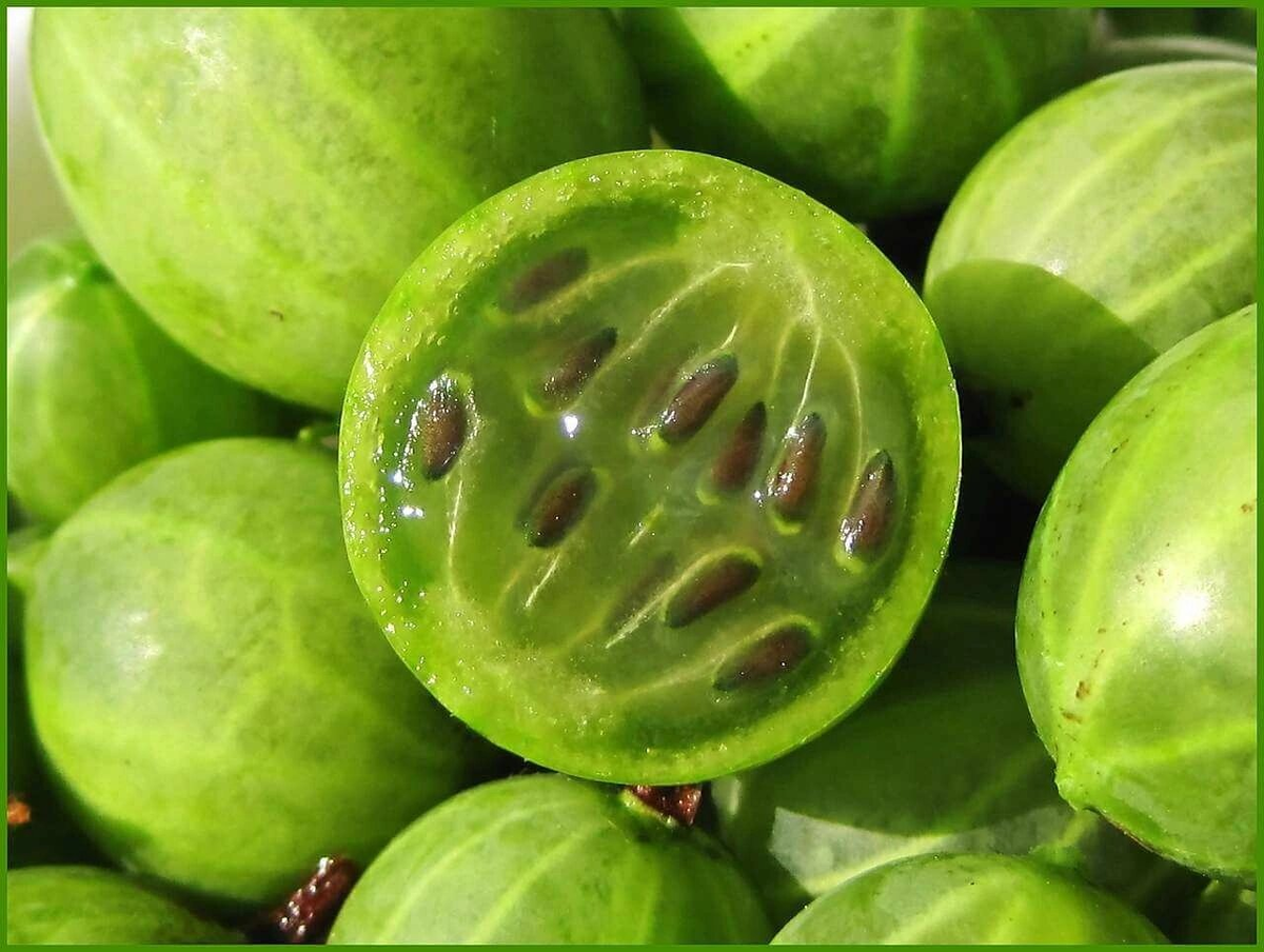 Я ягода садовая - спелая, зеленая