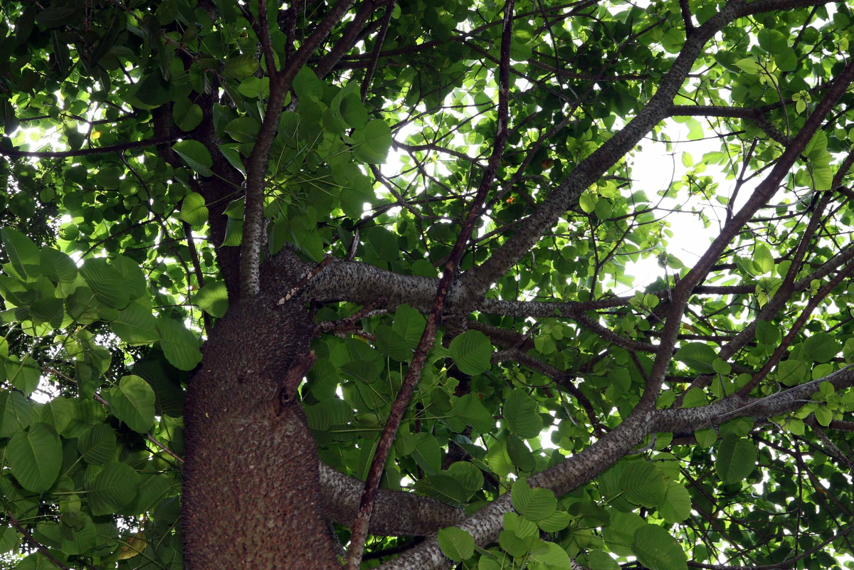 Издали даже и красиво...