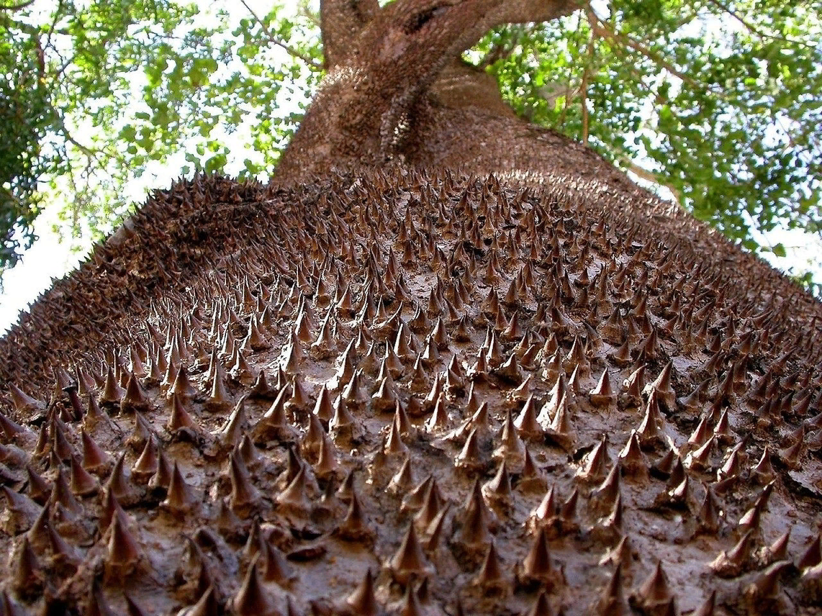 Вблизи жутковато