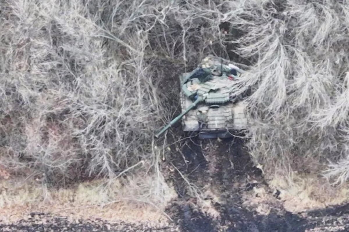     В Харьковской области противник скопил очень много техники в лесах.