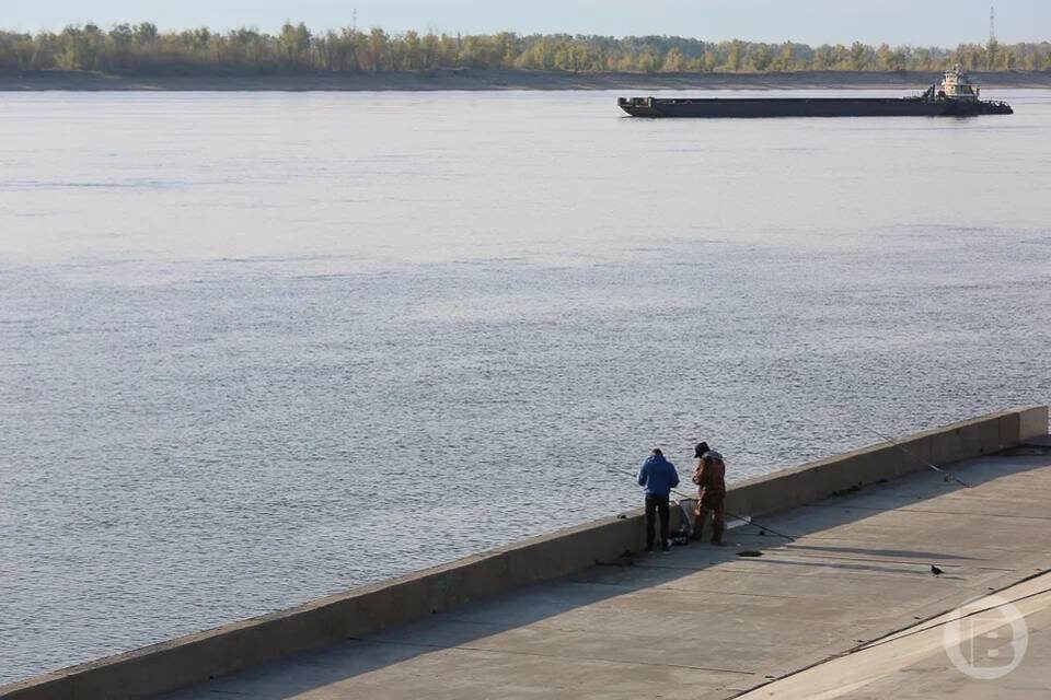    Фото: Дмитрий Рогулин / "Городские вести"