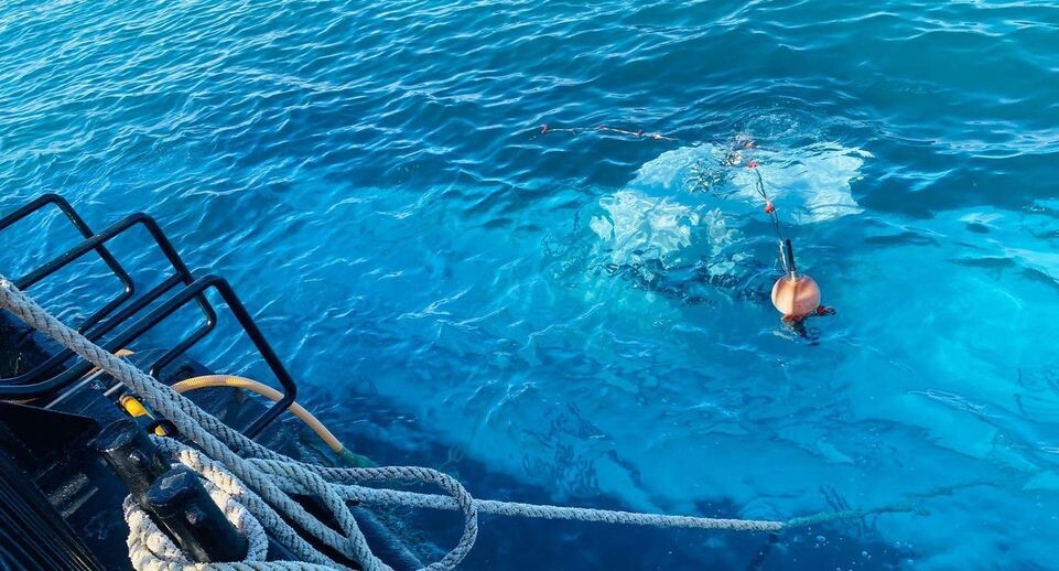    Ali Awad/XinHua / www.globallookpress.com