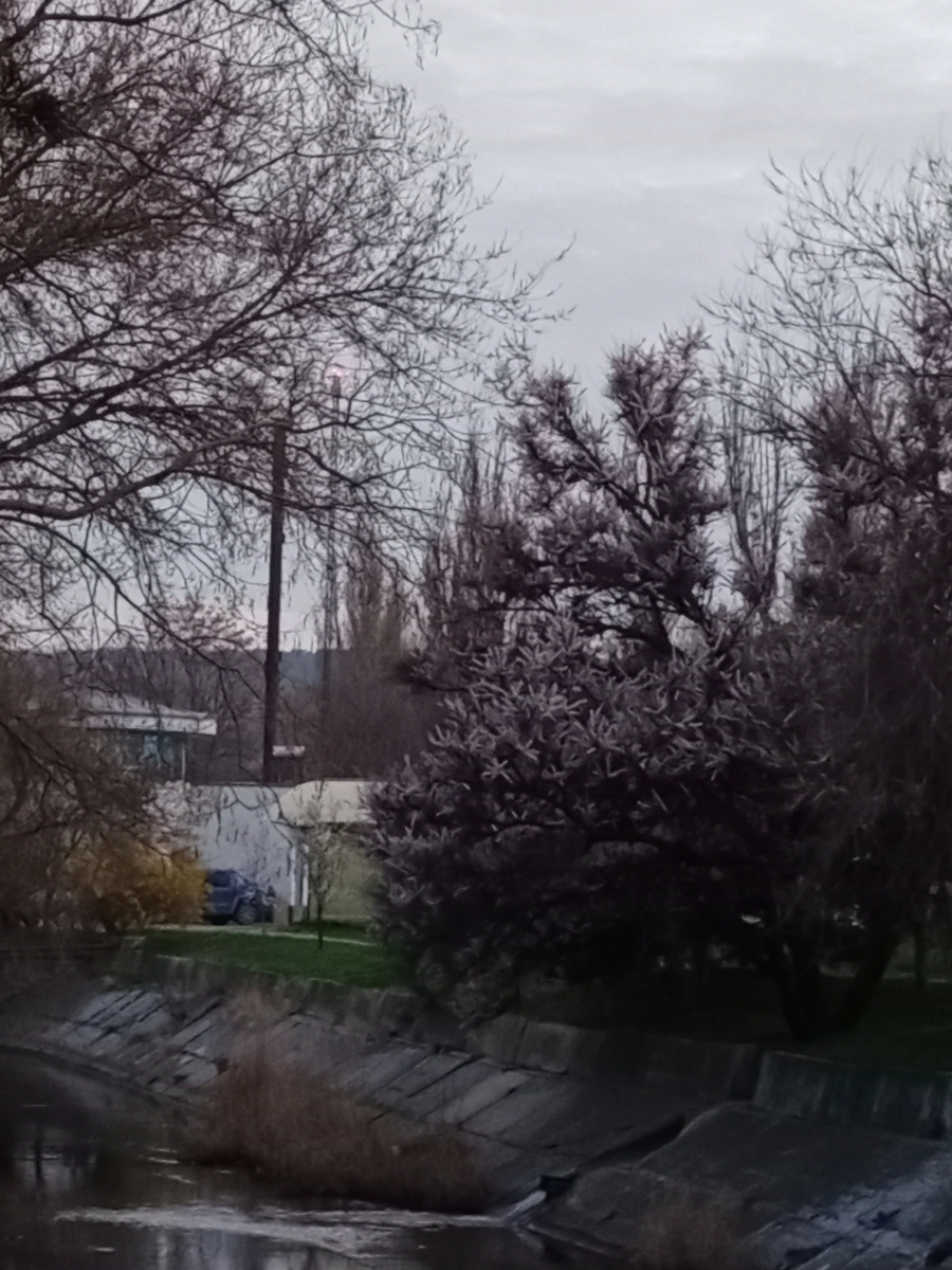 Я ходила мимо него и не видела  ничего, потому что спрятался за елками. а как увидела, обалдела!