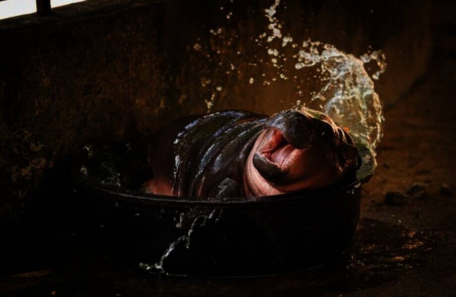    Фото: Getty Images