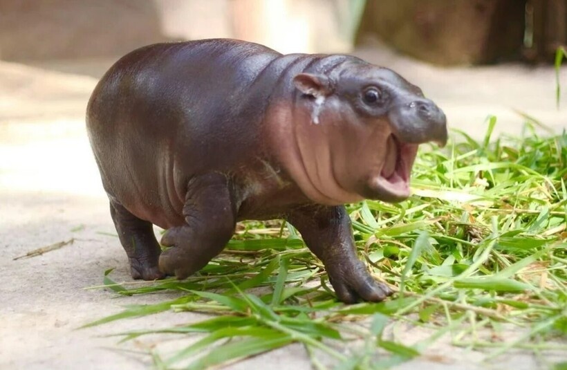    Фото: Globallookpress.com