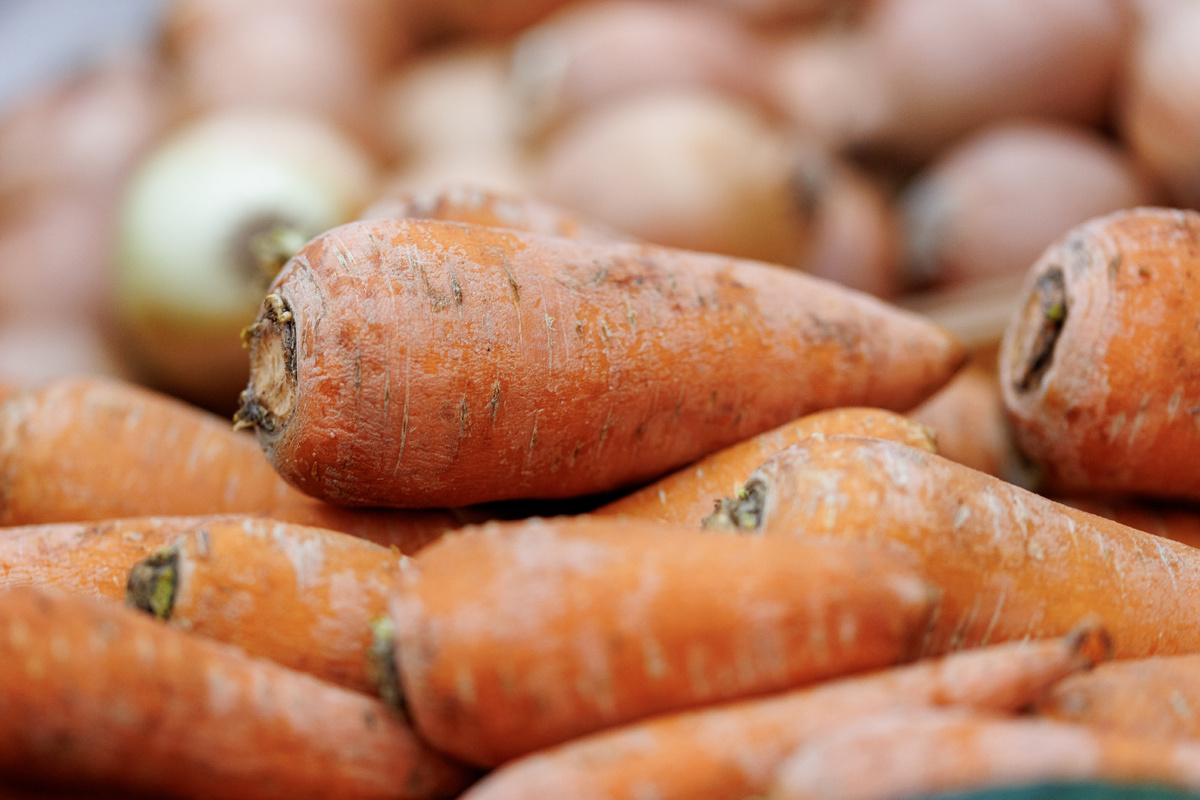 Фото: © Sergey Elagin/ Business Online/ Global Look Press