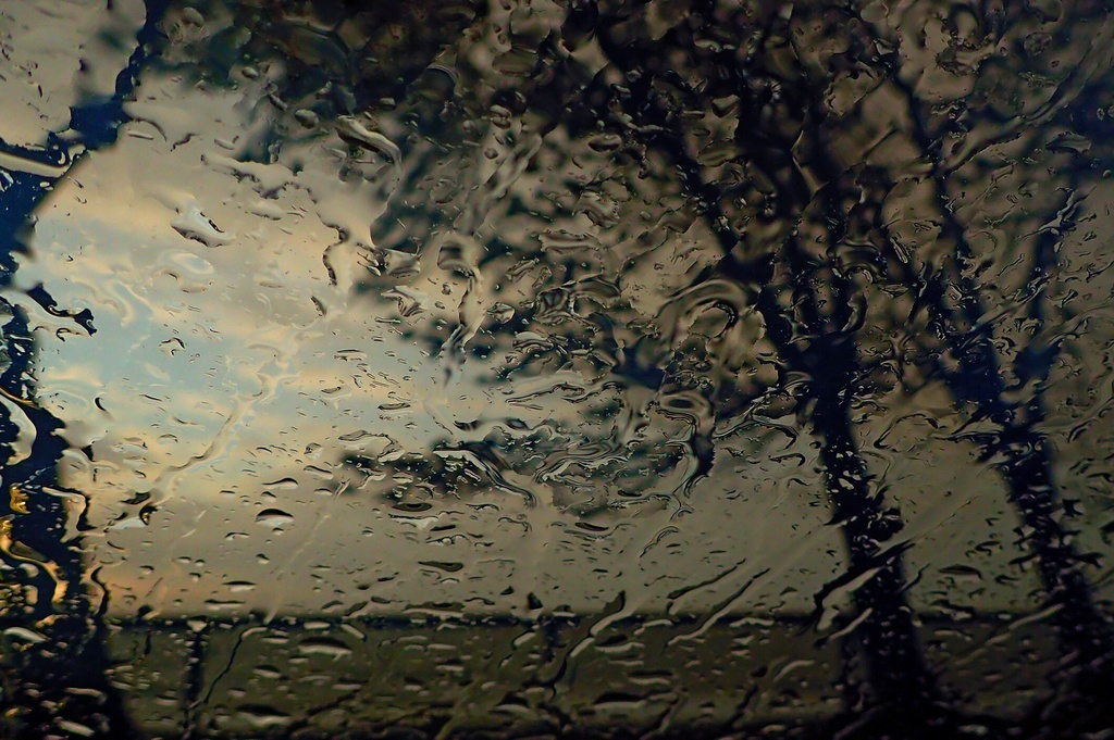 Окна арендованной во время того путешествия Митси; фото (как и следующие) из домашнего архива