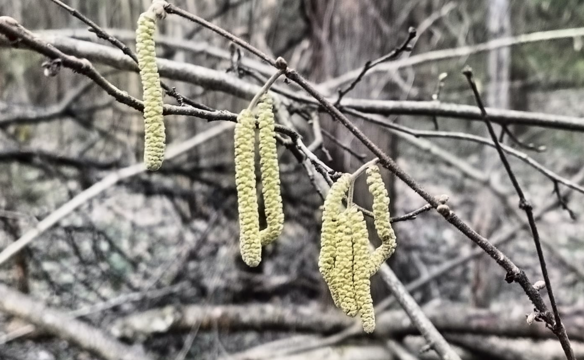 Просыпается не только природа. Просыпаются "отдыхающие" на природе - подмосковные дачники