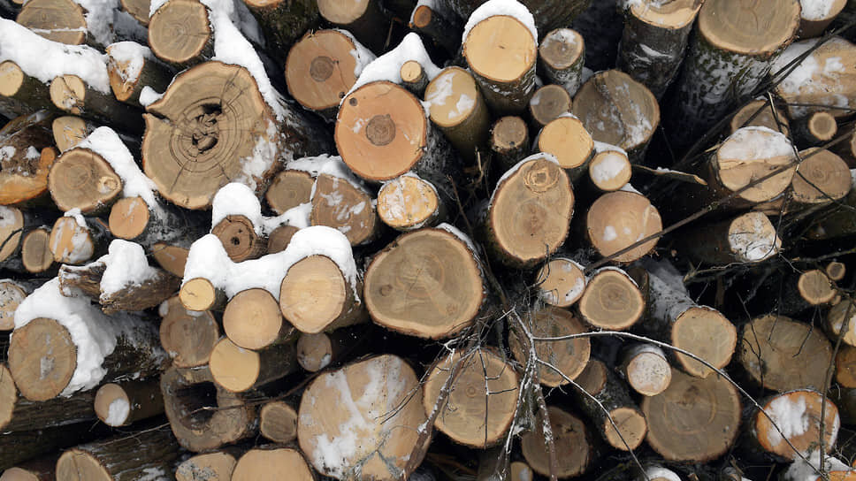 Фото: Глеб Щелкунов / Коммерсантъ