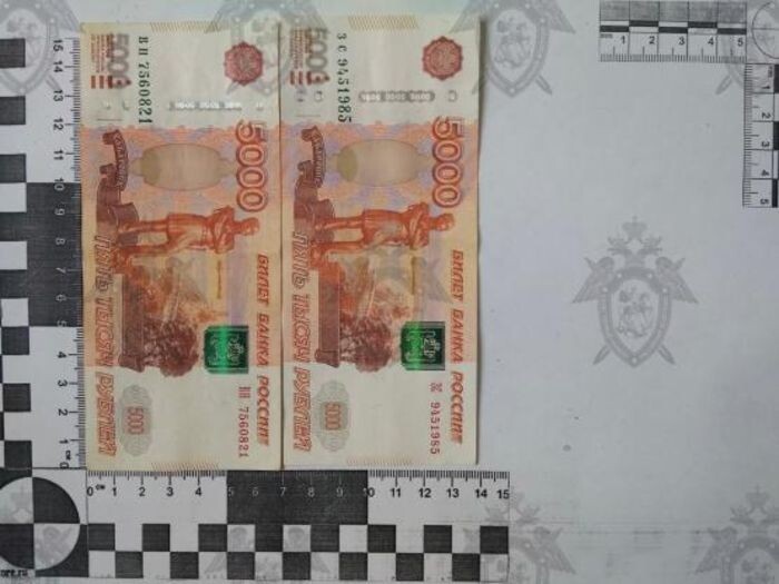 Источник фото: СК РФ