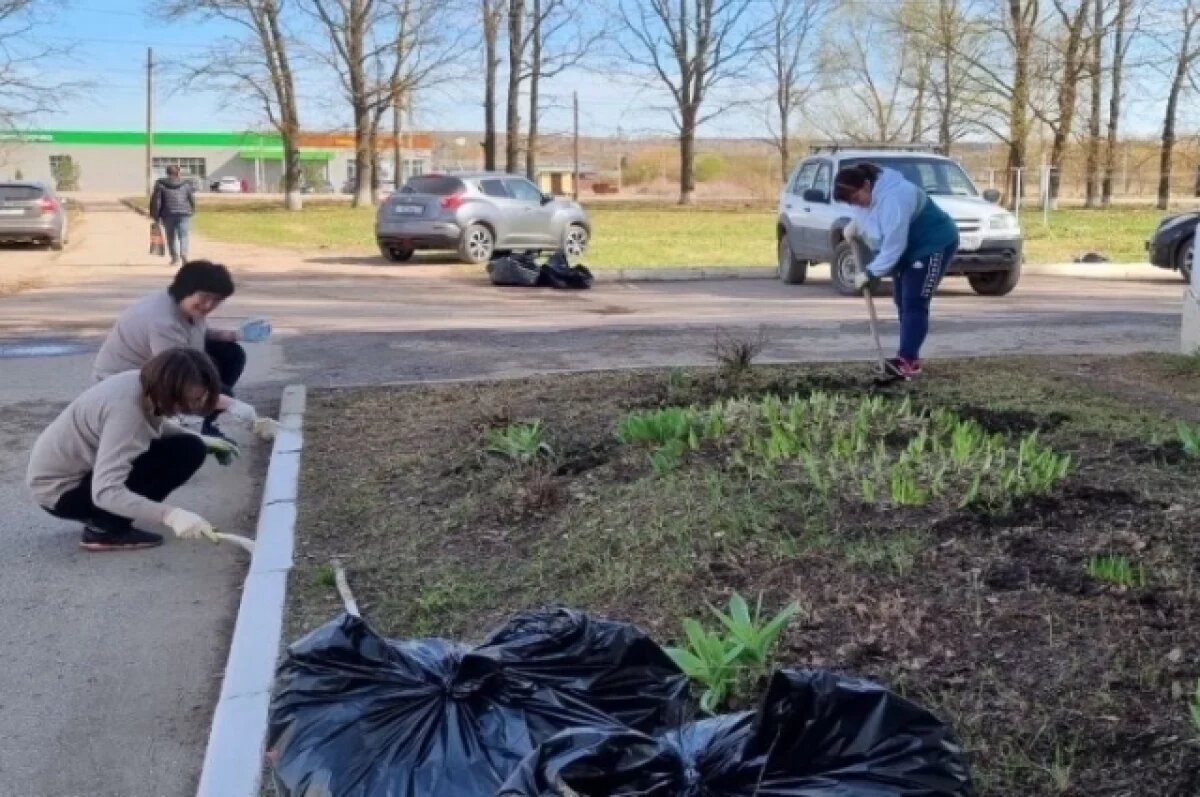    29 марта в Туле состоится первый общегородской субботник
