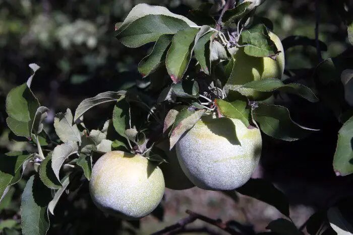     © "Интерфакс". Федор Ларин